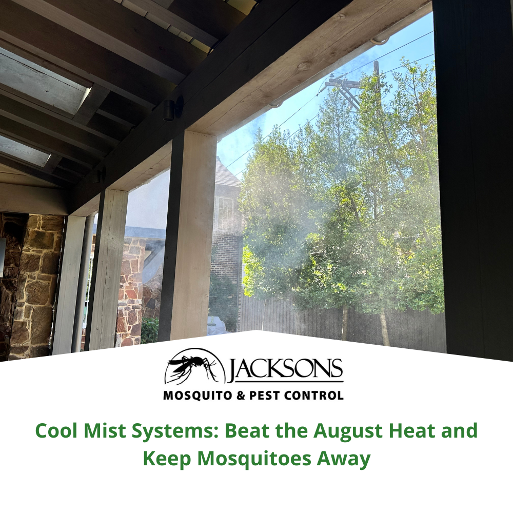 Cool Mist Systems Beat the August Heat and Keep Mosquitoes Away
