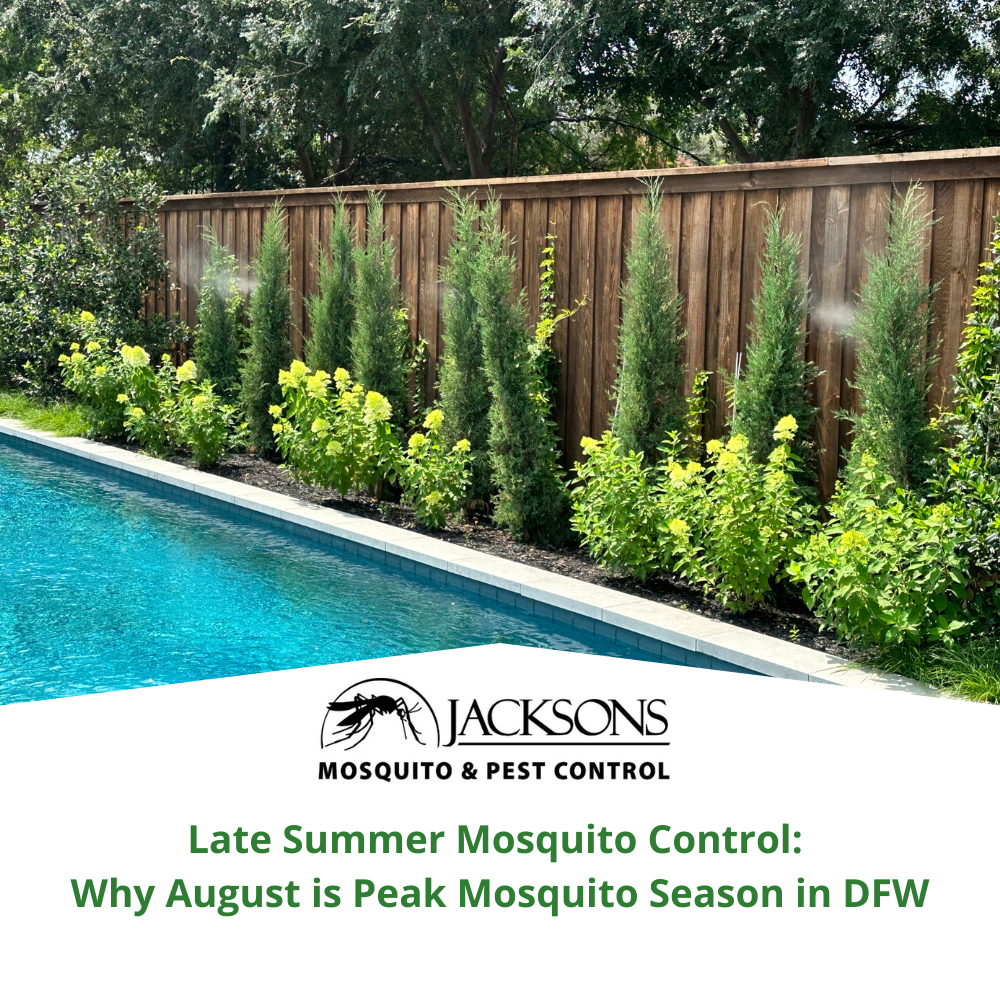 Late Summer Mosquito Control
