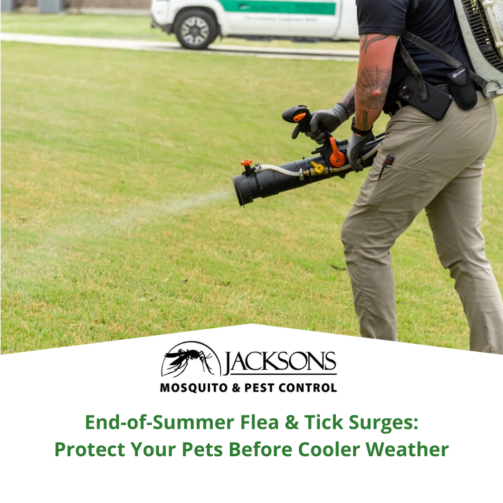 End-of-Summer Flea & Tick Surges