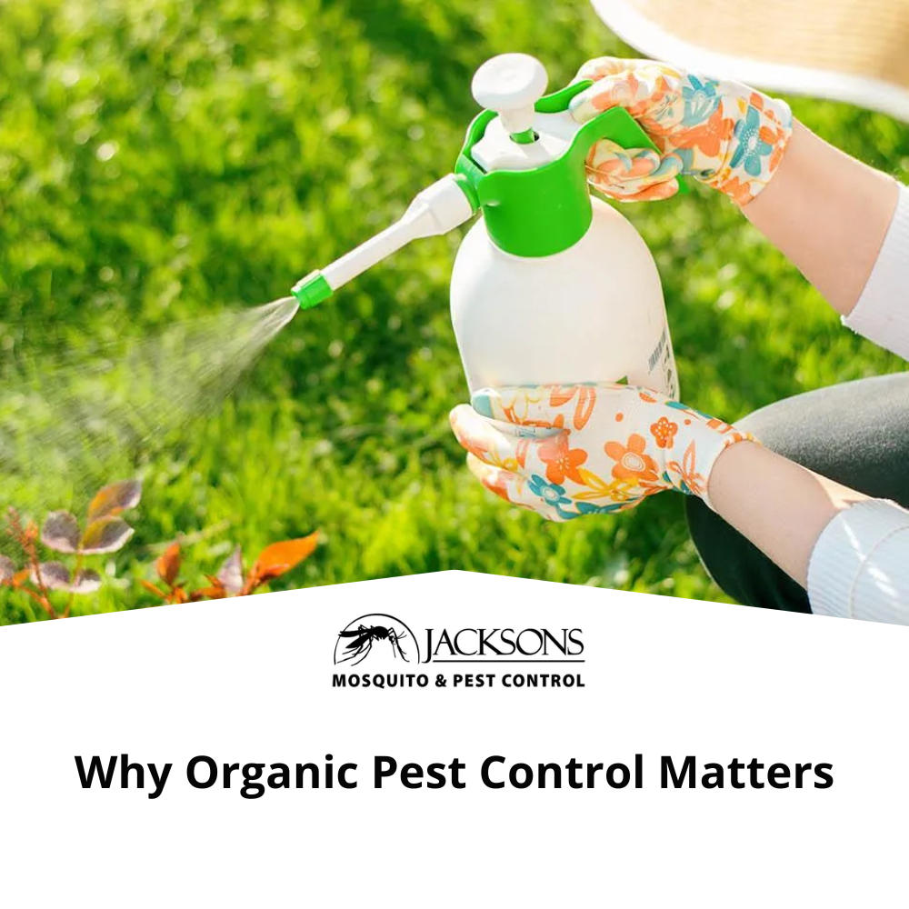 why organic pest control matters