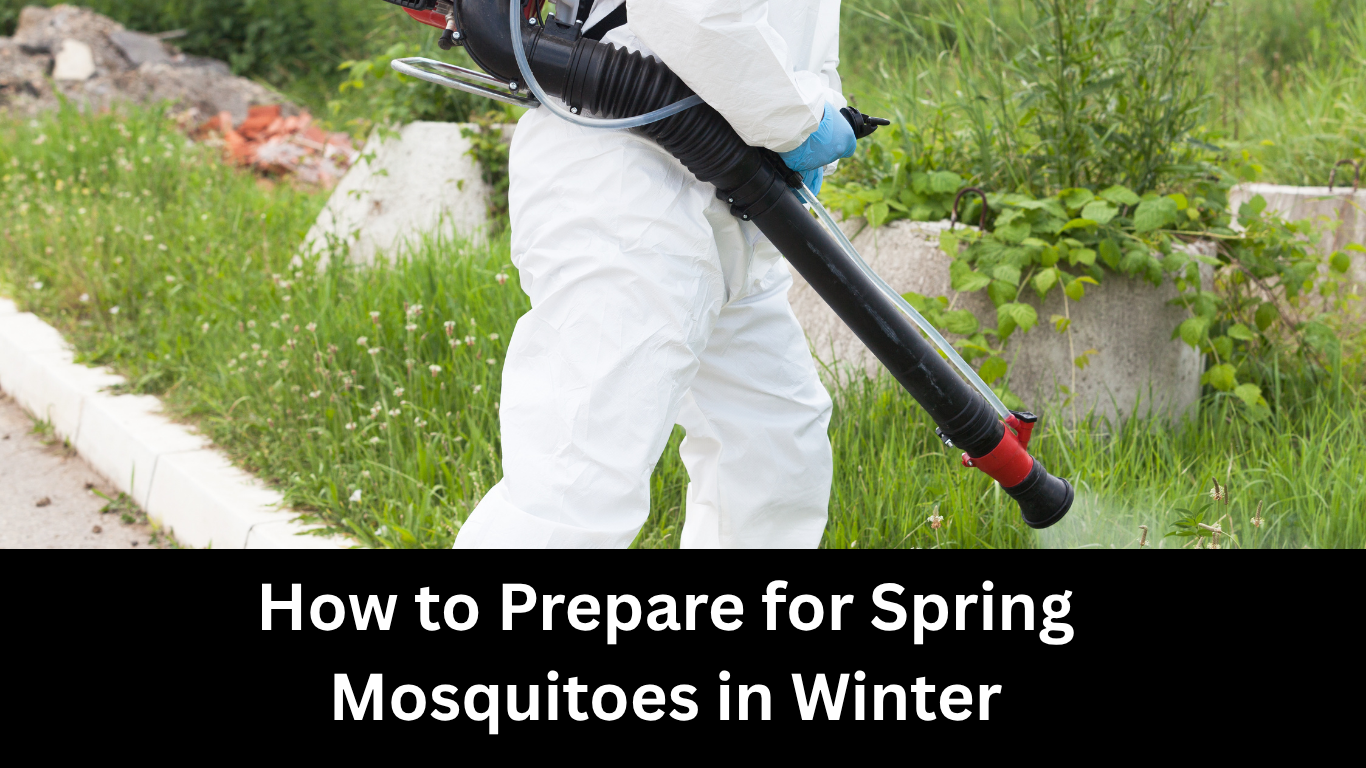 How to Prepare for Spring Mosquitoes in Winter